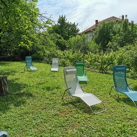 Breza Apartmán Soko Banja